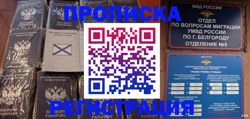 прописка гарантия в Шагонаре